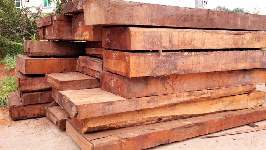 go-gu-lao-tho [Kiến thức] Gỗ gụ là gì? Ứng dụng của gỗ gụ trong nội thất